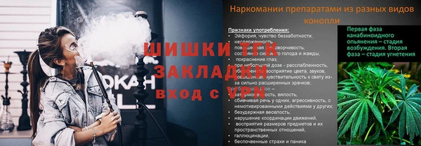 соль ск Арсеньев